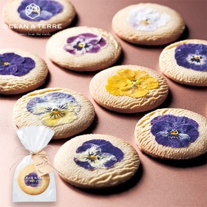 OCEAN & TERRE ơ ǥ֥ե롼륯å 1 10Ķ 