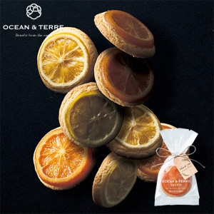 OCEAN & TERRE ơ 󥸥å 1 10Ķ 