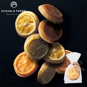 OCEAN & TERRE ơ 󥯥å 1 10Ķ 