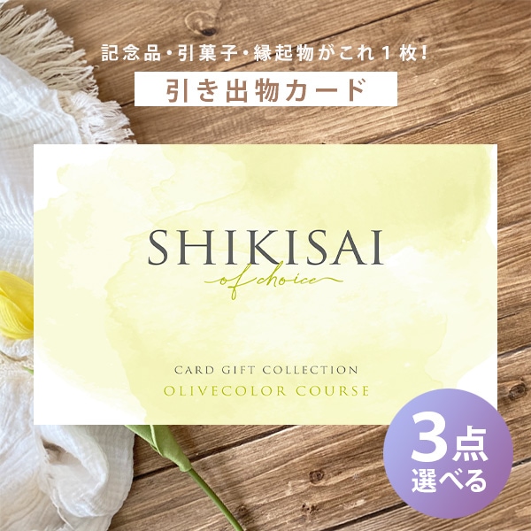 ɼե SHIKISAI 3٤륪꡼֥顼 CP0113 710Ķ