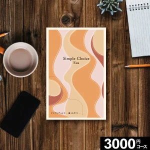 ڥեõءۥɼե ץ祤 Simple Choice 3000ߥ