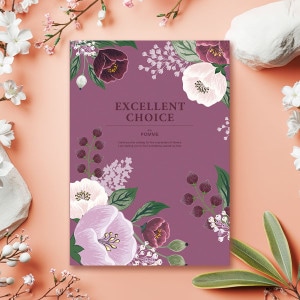 �����̾��ʡۥ����������ե� ���������ȥ��祤��EXCELLENT CHOICE 20900�ߥ�������BOO�� ������̵����