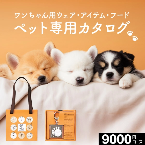 �����ɼ������������ե� Gift da Won�� ���եȥ���� ����� 9000�ߥ�����������̵����