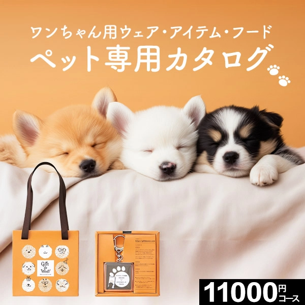 �����������ե� Gift da Won�� ���եȥ���� �ե�� 11000�ߥ����� �ڥ����ɷ��ۡ�����̵����