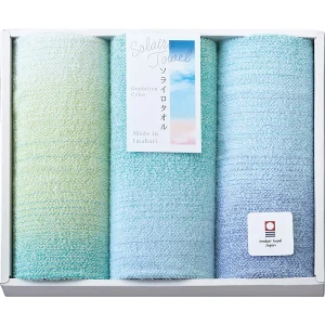 ���饤�������� �ե�����������3�祻�å� �֥롼 SO3063BL ������̵����