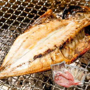 ��ľ���۾�������Ź�δ�ʪ���å� OGS-G01 ������̵���� ����5��7�Ķ�����