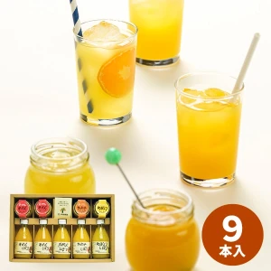 ��ľ���۰�ƣ���� 100%�ԥ奢���塼��&����쥻�å� V-113 ������̵���� ����5��7�Ķ�����