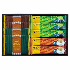 ���������륪����ȥ����ե�å� WMT-20