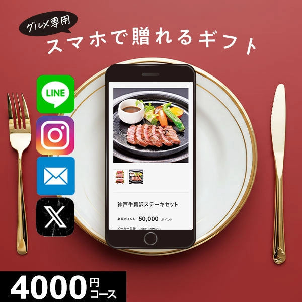 �ڥ�������륮�եȡ� MemoriCA THE FOOD ���ꥫ �����ա��� 4000�ݥ���ȥ����� PT-4000 ������̵����
