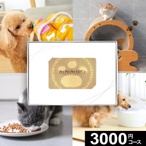 �����ɼ������������ե� MemoriCA Pet GIFCa ���ꥫ �ڥåȥ��ե� 3000�ݥ���ȥ����� PG003000C