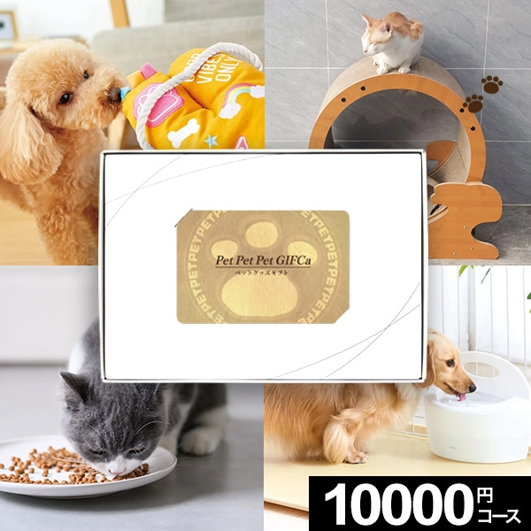 �����ɼ������������ե� MemoriCA Pet GIFCa ���ꥫ �ڥåȥ��ե� 10000�ݥ���ȥ����� PG010000C ������̵����