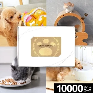 �����ɼ������������ե� MemoriCA Pet GIFCa ���ꥫ �ڥåȥ��ե� 10000�ݥ���ȥ����� PG010000C ������̵����
