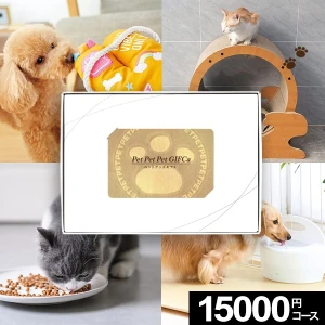 �����ɼ������������ե� MemoriCA Pet GIFCa ���ꥫ �ڥåȥ��ե� 15000�ݥ���ȥ����� PG015000C ������̵����