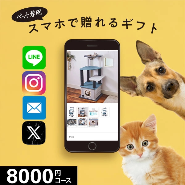 �ڥ�������륮�եȡ� MemoriCA Pet GIFCa ���ꥫ �ڥåȥ��ե� 8000�ݥ���ȥ����� PG008000C ������̵����