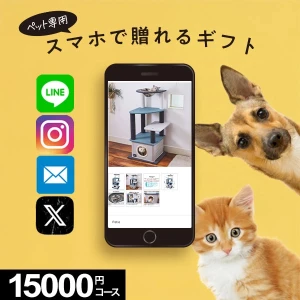 �ڥ�������륮�եȡ� MemoriCA Pet GIFCa ���ꥫ �ڥåȥ��ե� 15000�ݥ���ȥ����� PG015000C ������̵����