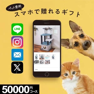 �ڥ�������륮�եȡ� MemoriCA Pet GIFCa ���ꥫ �ڥåȥ��ե� 50000�ݥ���ȥ����� PG050000C ������̵����