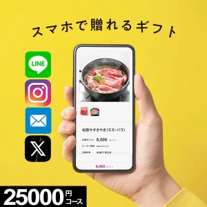 �ڥ�������륮�եȡ� MemoriCA ���ꥫ 25000�ݥ���ȥ����� PC-25000 ������̵����