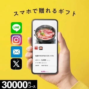 �ڥ�������륮�եȡ� MemoriCA ���ꥫ 30000�ݥ���ȥ����� PC-30000 ������̵����