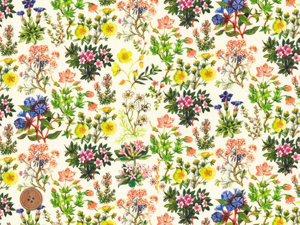 リバティプリント タナローン生地 廃盤柄 Kenilworth MJDC28645-A