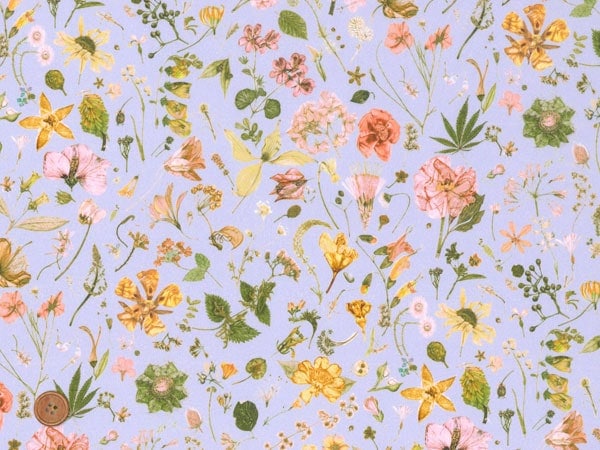 リバティプリント タナローン生地 廃盤柄 Floral Eve MJ3189-X