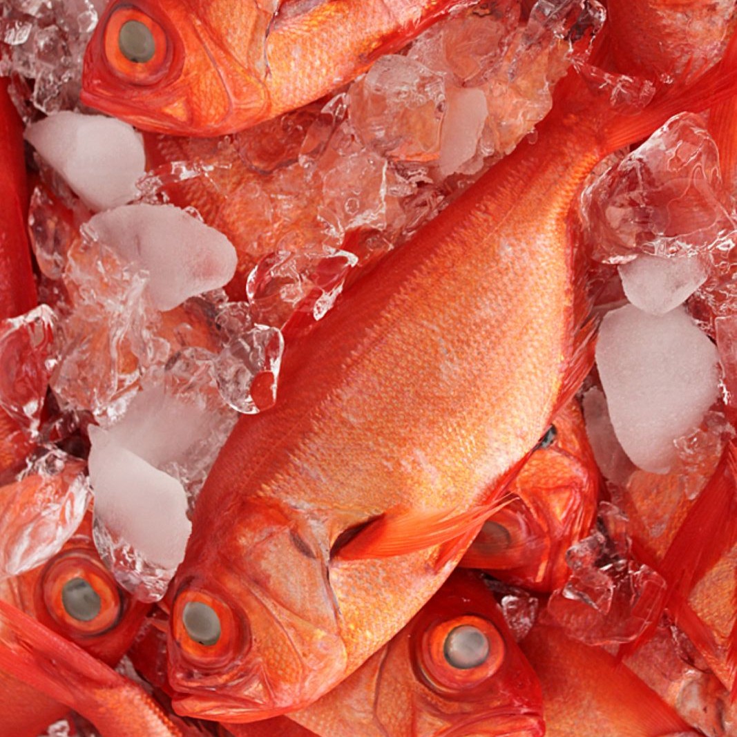 ˼�����ӡ��϶�����˼�����ᤷ