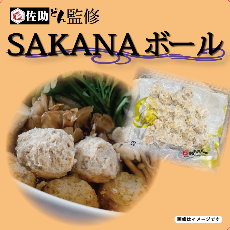 ˼�����ᤷ��SAKANA�ܡ��� ���å�