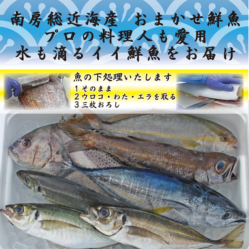 ��˼�����ޤ����������å�