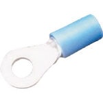 �ʣӣԡ��ӥ˥�����մݷ�ü�ҡʥ��ȥ졼�ȷ��ˡ�RAA24�ۡ��������1�� JAN������[]  ���ܰ���ü����¤�ʳ�����³ü�ҡ�*��2921010�ƎΎݎ������������ݎ��������ގ�