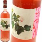 �������� [2024] ���󥿡��ޥ꡼��  Santa Maria Rosato