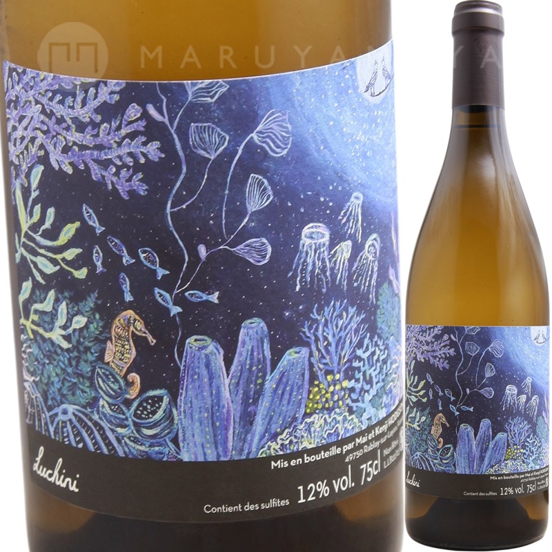 ルッチーニ(白) [2022-2023] マイ・エ・ケンジ・ホジソン Mai et Kenji