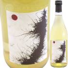 �ե��쥹�����ԥ˥��å� [2024] �ޥꥢ���ܥ�ȥ��åƥ�  Maria Bortolotti Falestar