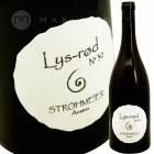 塼åɡʥҥ㡼N31 [2020] եġȥޥ䡼  Strohmeier  LYSEROD N31
