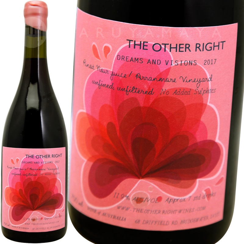 ドリーム・アンド・ビジョン [2017] ジ・アザー・ライト The Other