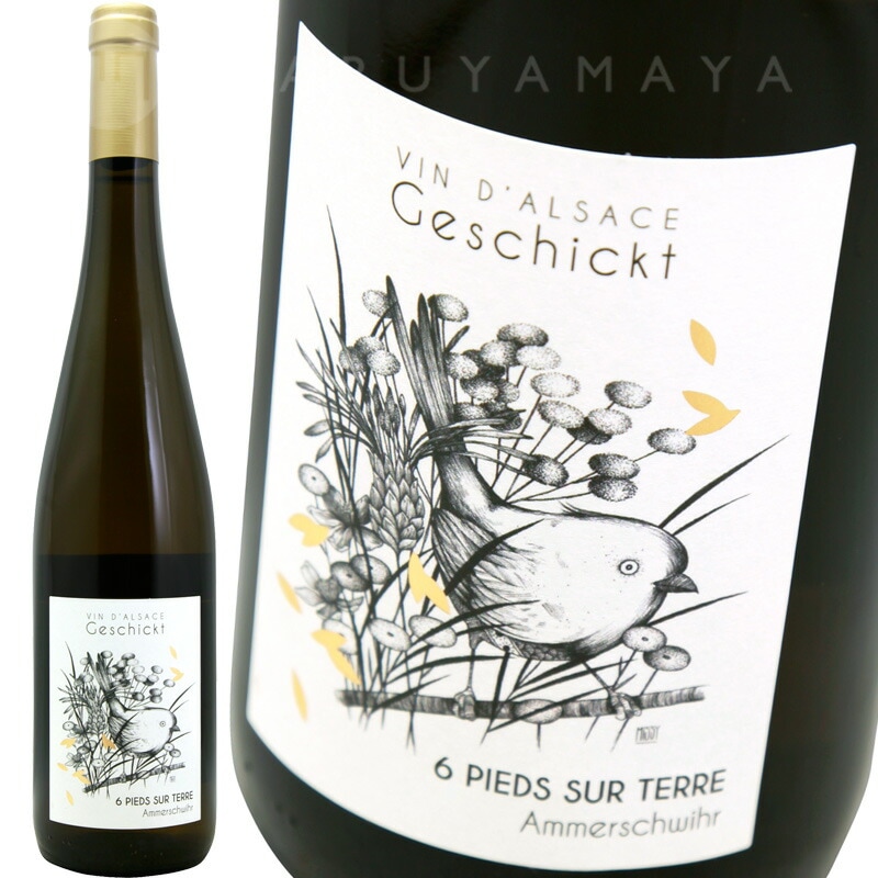 シス・ピエ・シュール・テール [2023] フレデリック・ゲシクト