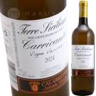 ����å���ơ��������˥��������å��� [2024] �顦����֥�å�  La Calabretta  Carricante Vigne Vecchie