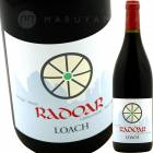 ������ [2013] ��ɥ�����<br>Radoar LOACH 2013