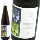  [2021] ƥʡǥ  Cantina Giardino  Adam
