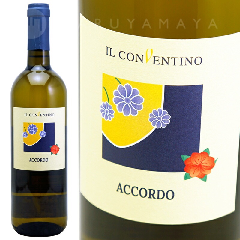 �ӥ��󥳡��ȥ������� ����ե��� [2023] ���롦���������ƥ�����  Il Conventino  BIANCO TOSCANO (AMPHORA)