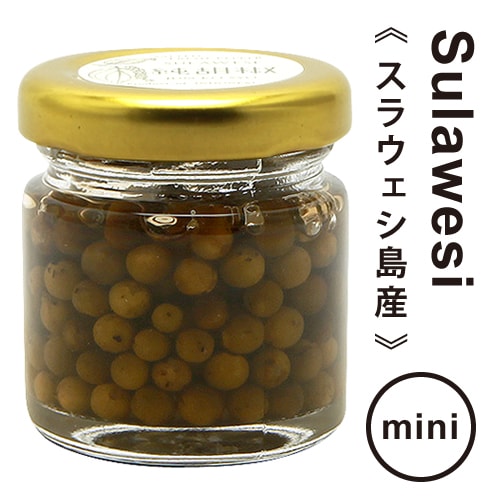 純胡椒（生胡椒の塩漬け）【スラウェシ島産】ミニ [2022] 仙人スパイス