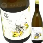 �ѥԥ�󡦥֥�� [2018] ����֥�å���������Cambridge Road Papillon Blanc