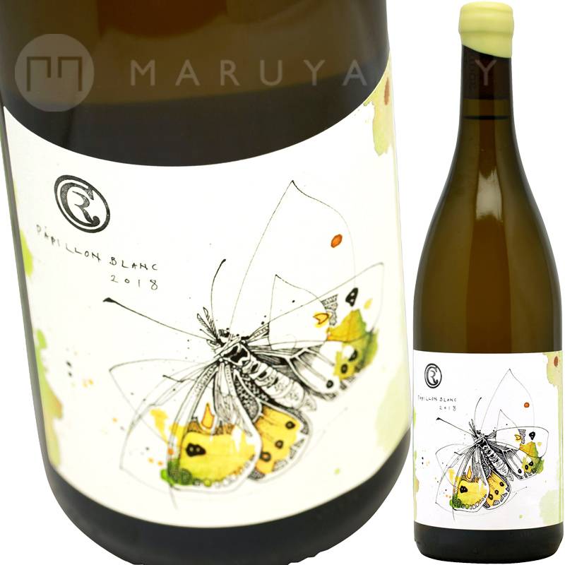 ★パピヨン⑱〜㉖★ パピヨン・ブラン [2018] ケンブリッジ・ロードCambridge Road