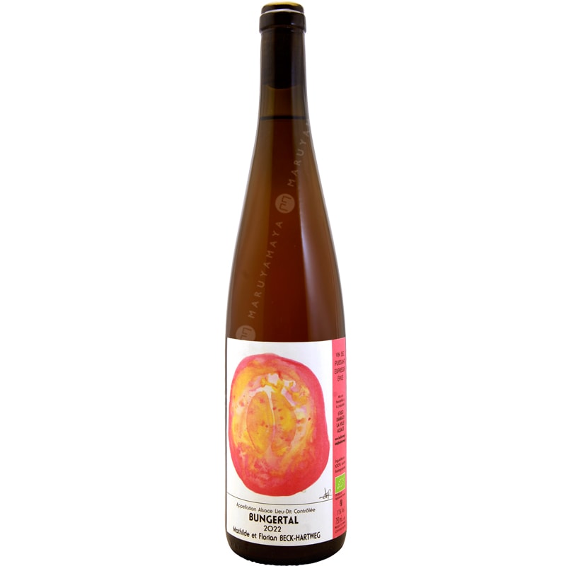 ブンゲルタル [2023] フロリアン・ベック・ハートウェグ Florian Beck