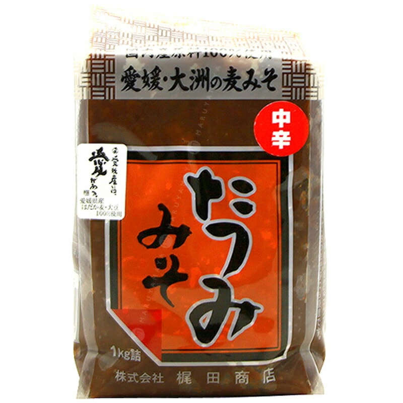 たつみ 麦みそ (中辛)粒 梶田商店 - 食材、スパイスなど,オイル