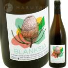 �֥�󥯥��� [2023] ���󥷥㥤�󡦥�����  Sonshine Vins  Blanksia