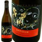 ���ԥɥ��� [2019] ����ȡ����ɡ�������  Chateau des Gaure Oppidum