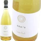 ������ [2024] ���롦�������å꡼��  Il Cavallino  Sgass