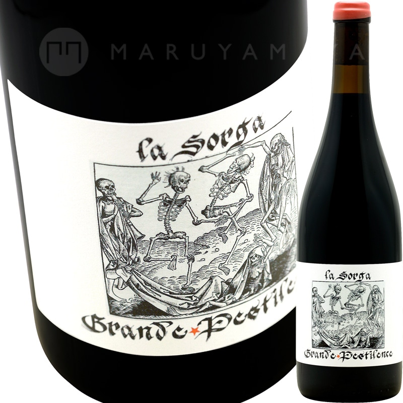 ピスタチオ様★専用★超本物‼️ネリーランド産✡️アンダラ スカーレットシフト ブラシア開花しました！ | 胡蝶蘭・大輪 カトレア・ミニカトレアギフト