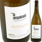 �����ץ��[2019] �顦�ǥ��ڥ��ʡ���  La despeinada acaPuLPA