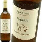 ݥåƥ [2020] 󥿡ƥ꡼  Santa Caterina Poggi Alti