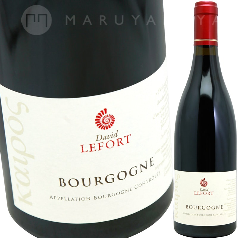 ドメーヌ ルロワ コトー ブルギニョン ルージュ 2017年750ml 赤ワイン